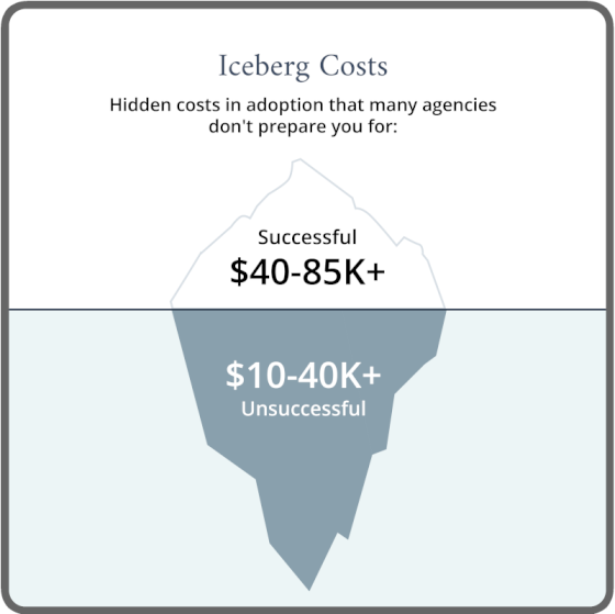 Low-Cost Adoption Agencies in Florida