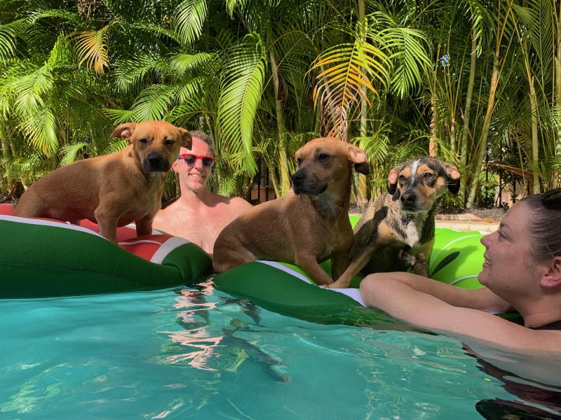 Our Family Enjoying the Pool