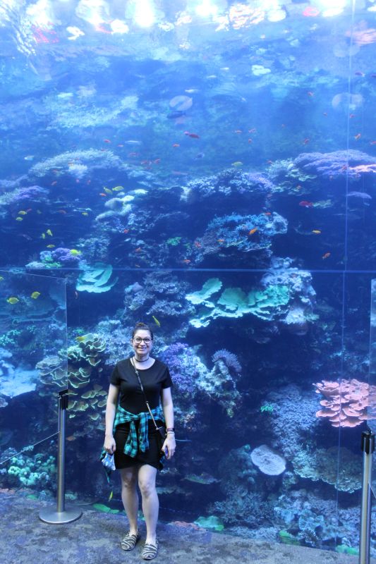 Visiting the World's Largest Aquarium