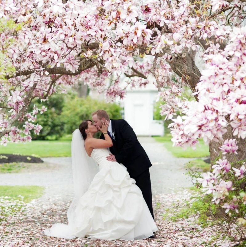 The Happiest Day of Our Lives Thus Far