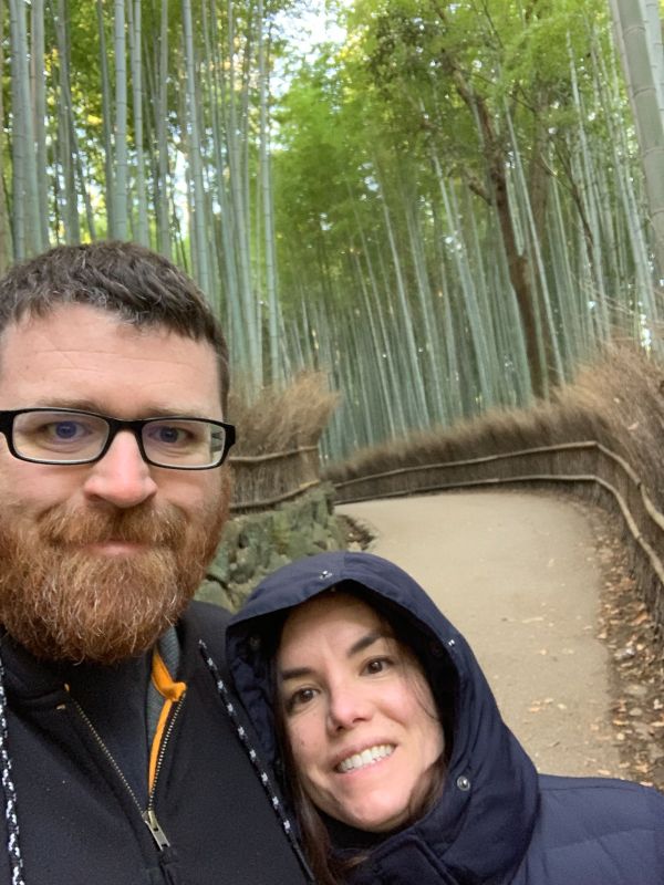 In a Bamboo Forest