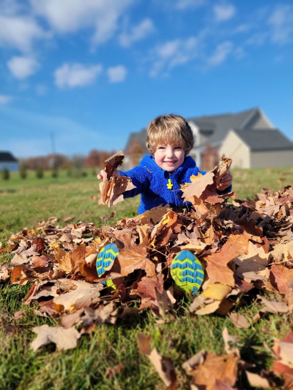 Playing in the Leaves