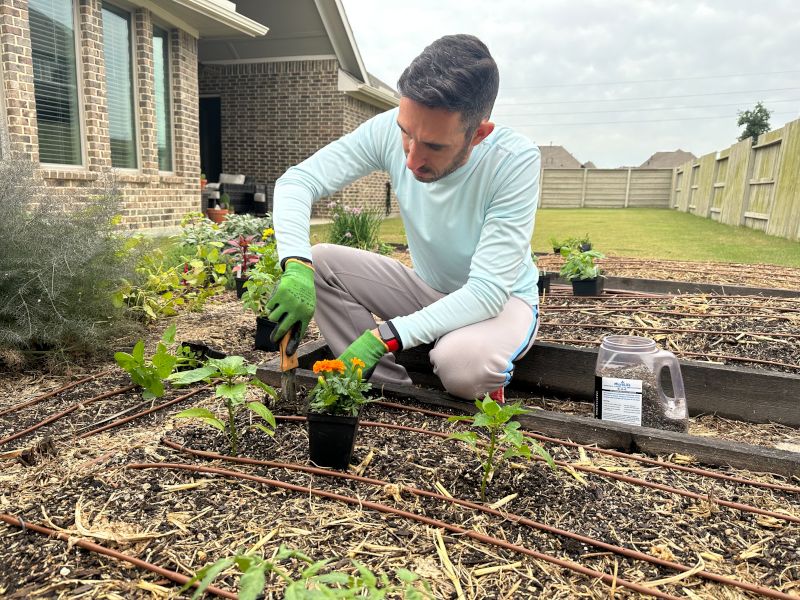 Daniel in the Garden