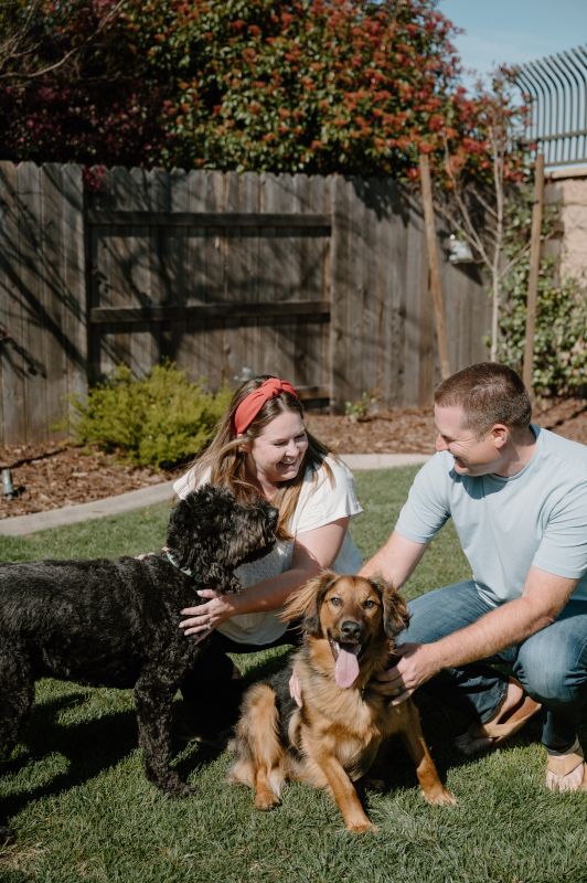 In Our Backyard With Our Pups,  Enzo & Bosa