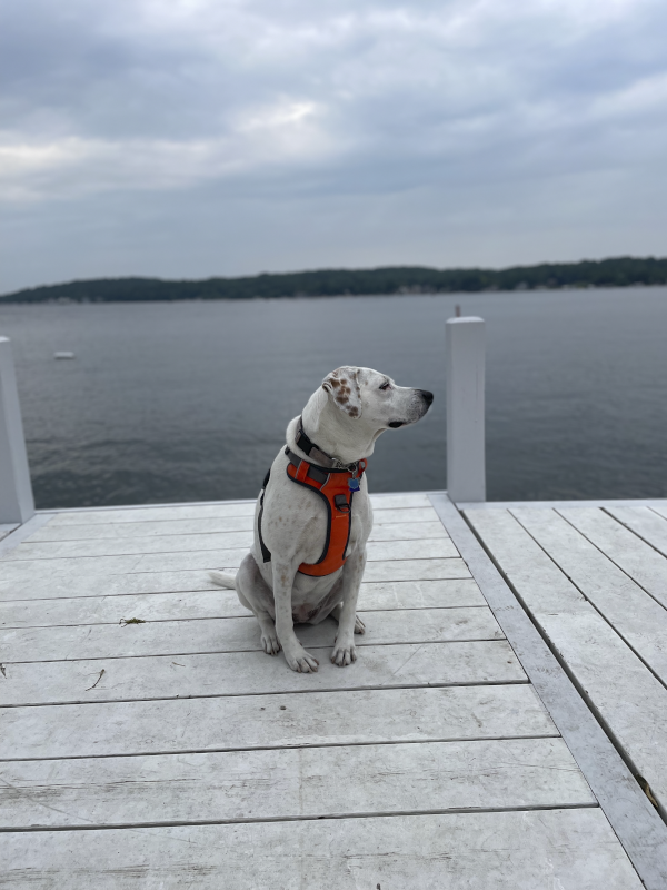 Visiting The Lake