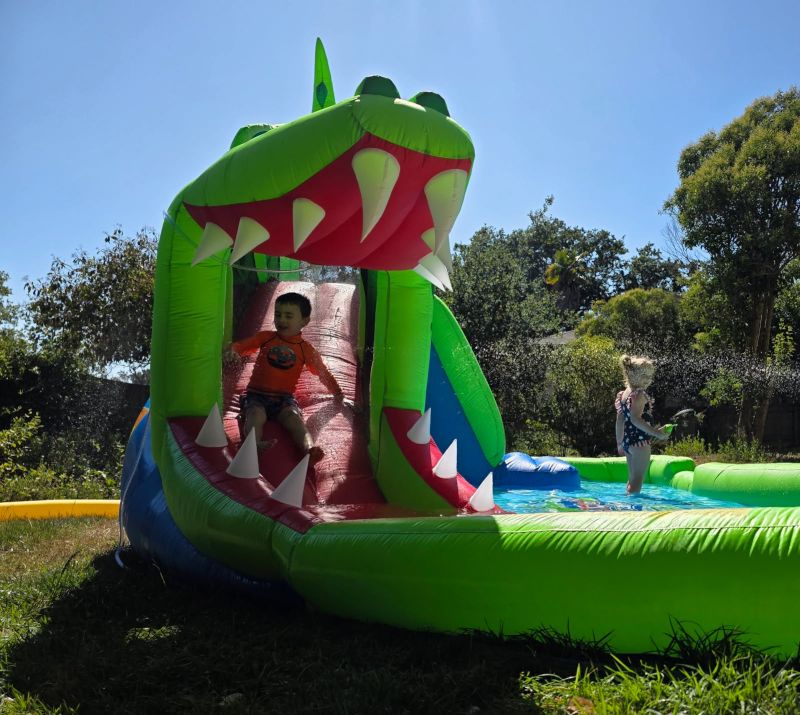 Playing in Our Backyard