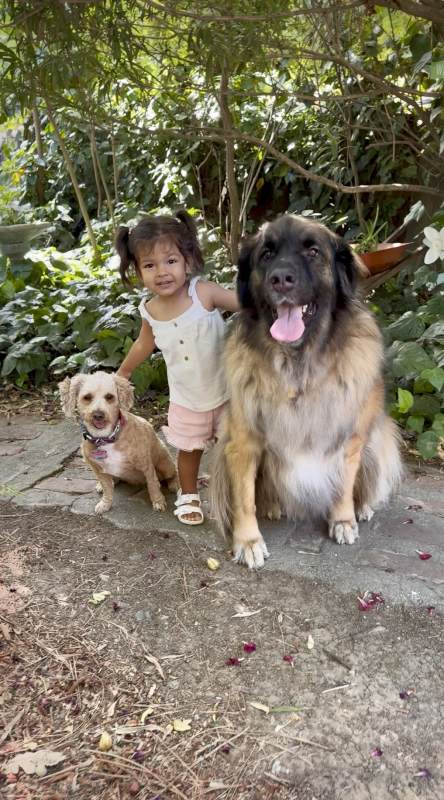 Frankie and Our Pups