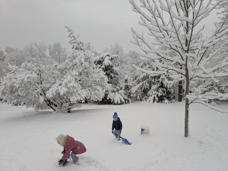 Playing in the Snow