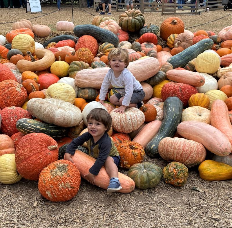 Brothers Playtime in the Pumpkins