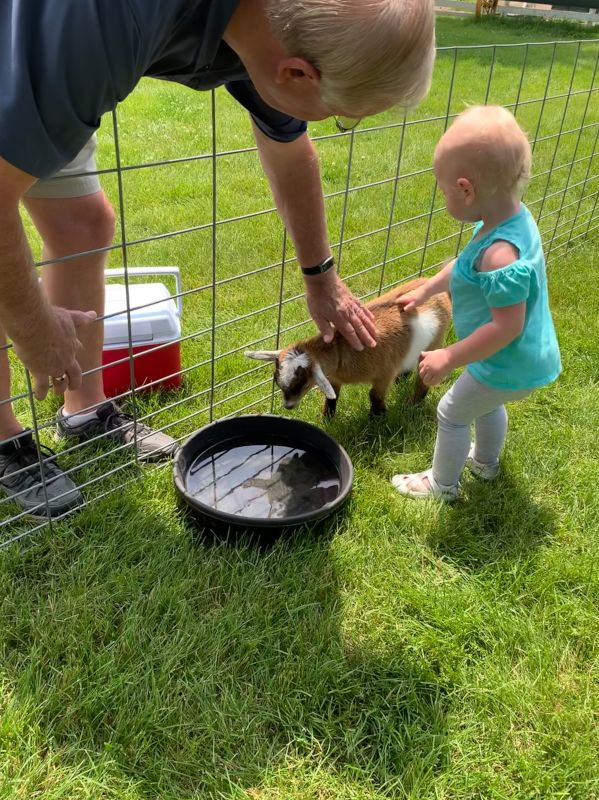 Petting Baby Goats with Grandpa