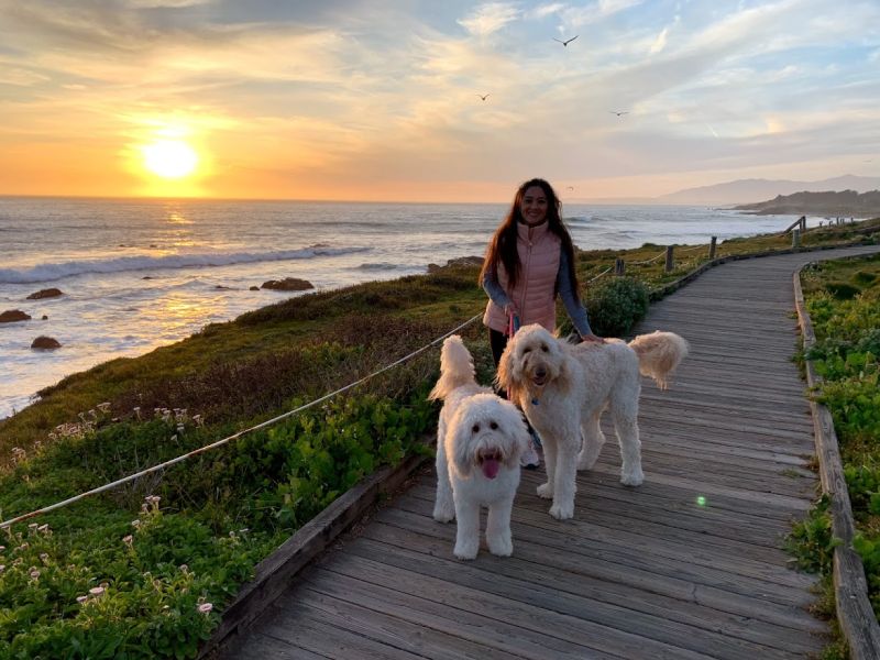 Sunset Walk With Our Dogs