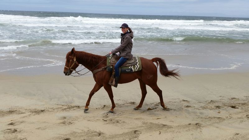 A Perfect Morning Ride on the Beach