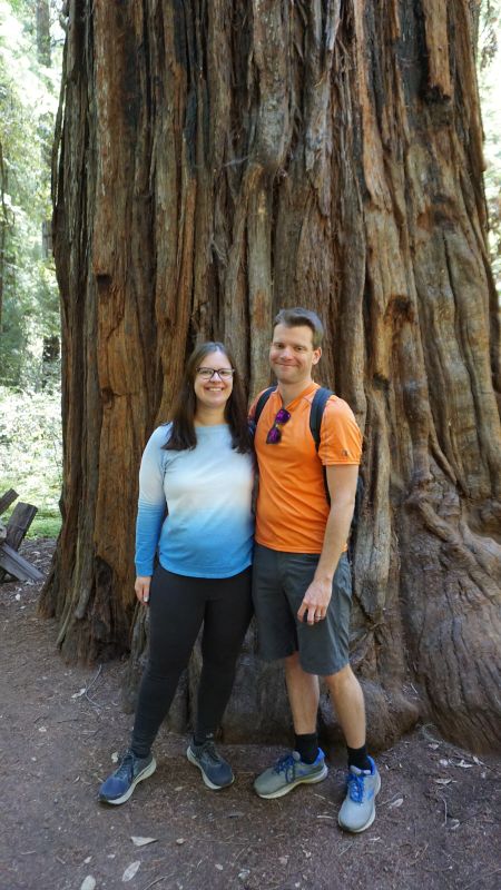 Visiting the California Redwoods