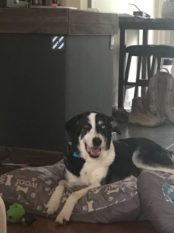 Our Pup, Emma