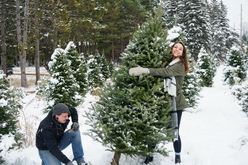 Cutting Down Our Christmas Tree
