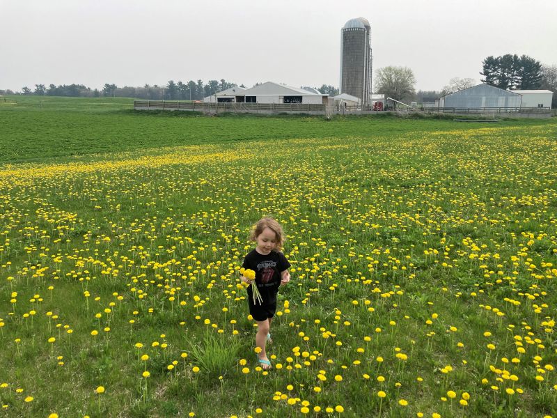 Room to Run on the Family Farm