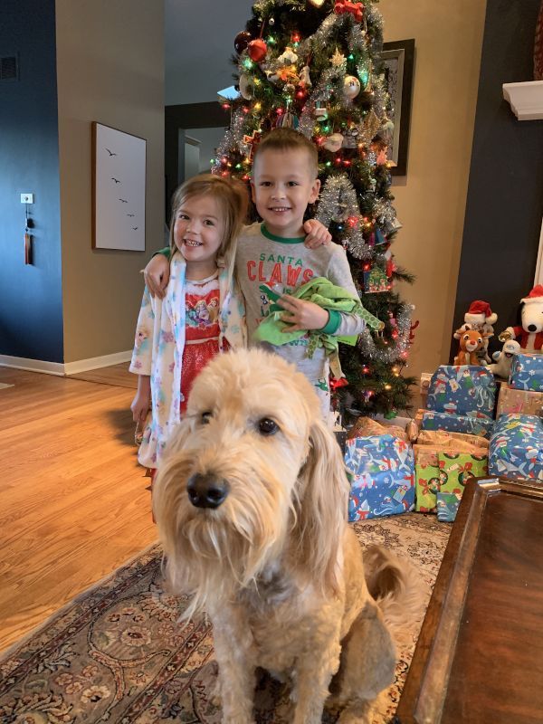 Christmas Is Our Favorite Time of Year!