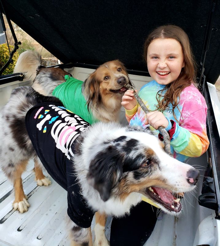 Our Niece & Our Dogs