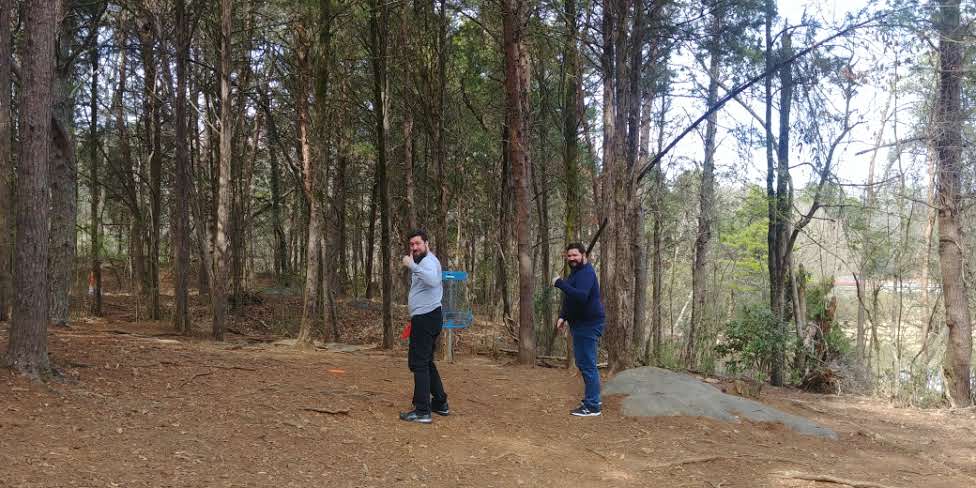 Disc Golfing
