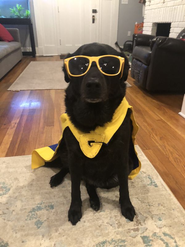 Kira Dressed Up For Halloween
