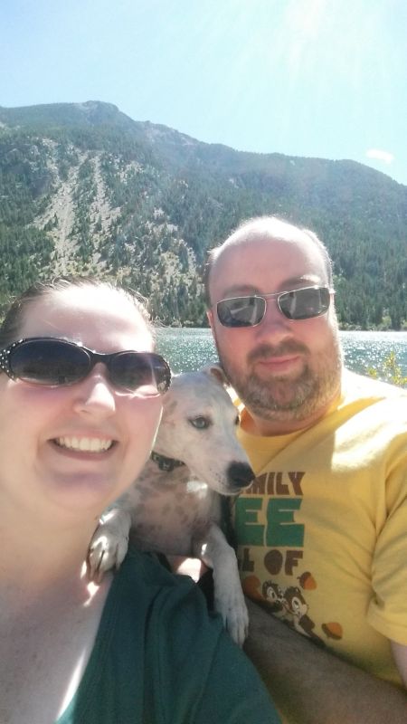 Fun in the Sun