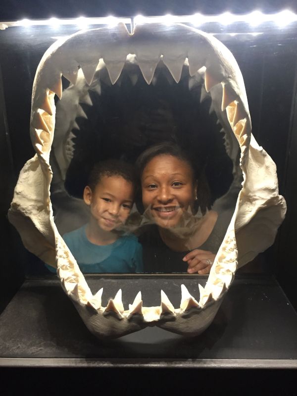 Oh No, We Are in a Shark's Mouth!