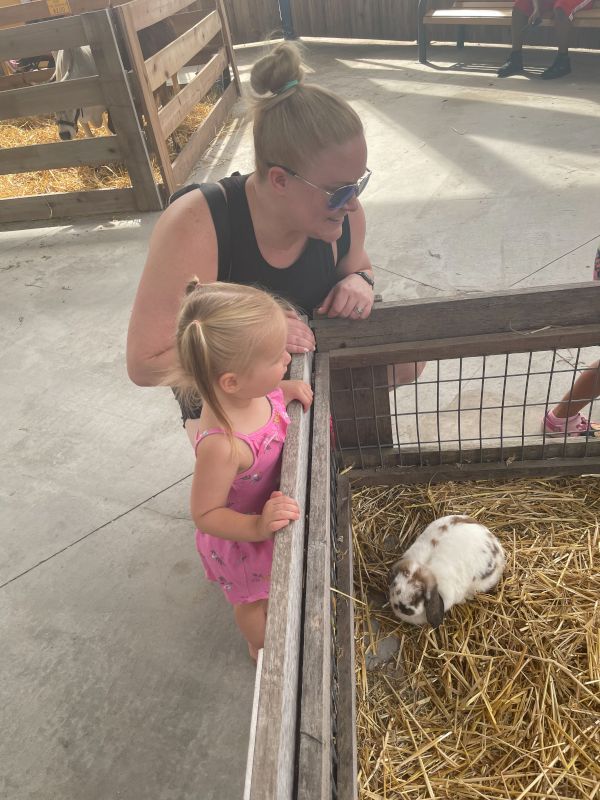 At the Local Petting Zoo